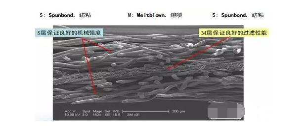 細(xì)塑料纖維顯微結(jié)構(gòu)
