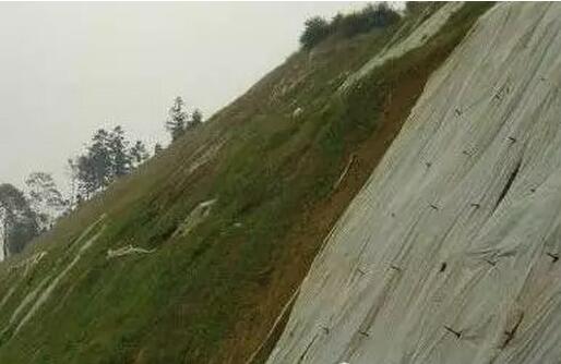 城市綠地用非織造布